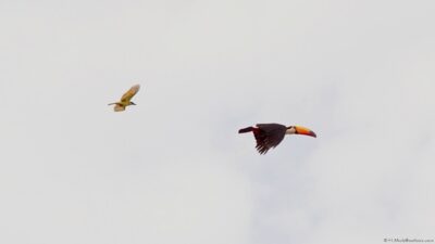 2022 06 15(170)