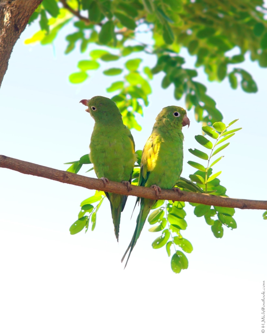 Studio-One.Art.br Repo Fotografia em Rio Preto SP/Brasil