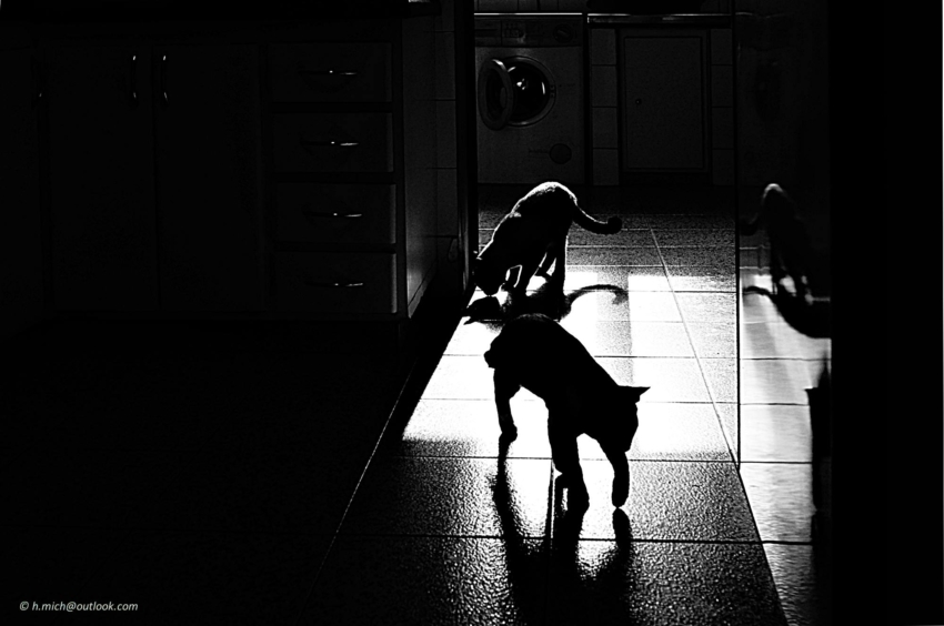 Studio-One.Art.br Repo Fotografia em Rio Preto SP/Brasil