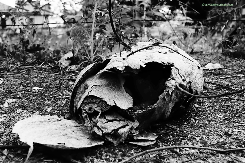 Studio-One.Art.br Repo Fotografia em Rio Preto SP/Brasil