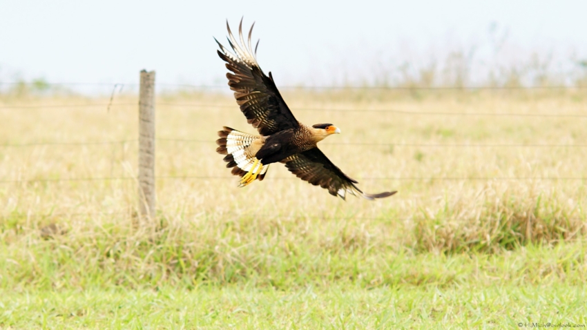Studio-One.Art.br Repo Fotografia em Rio Preto SP/Brasil