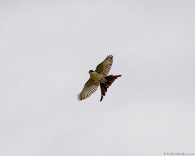 2022 06 15(173)