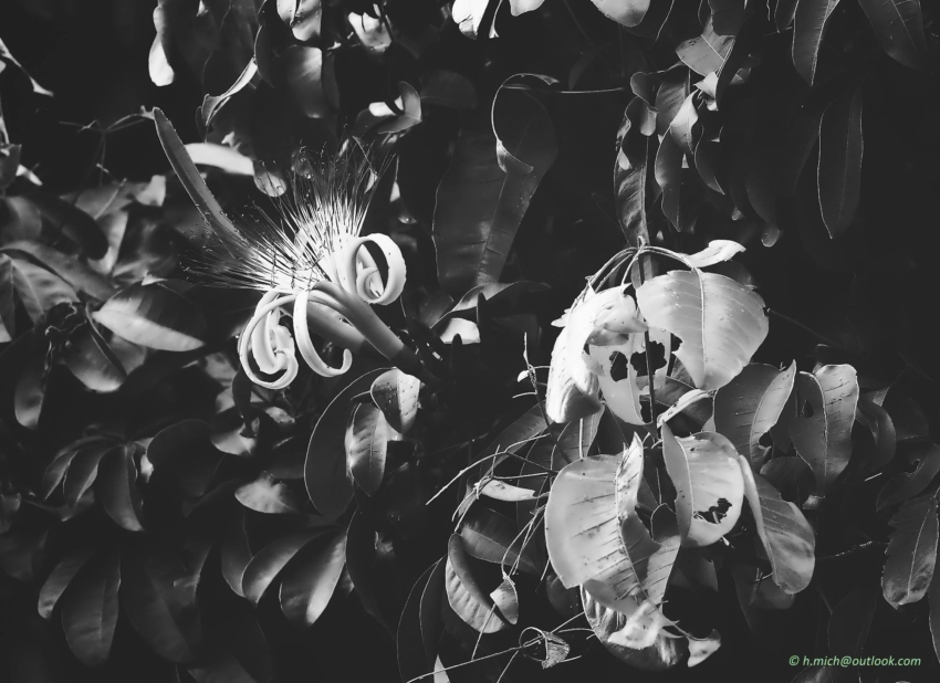 Studio-One.Art.br Repo Fotografia em Rio Preto SP/Brasil