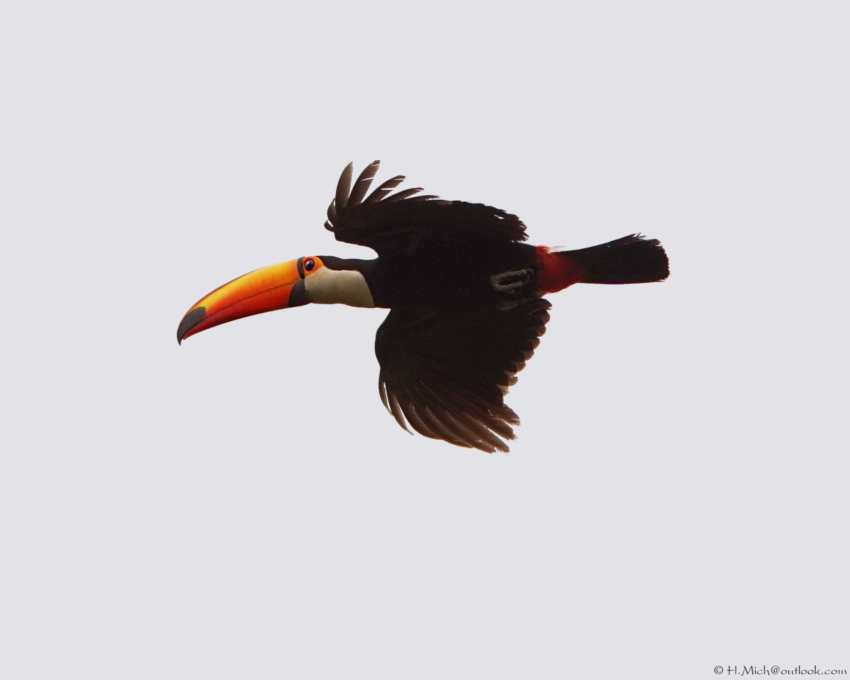 Studio-One.Art.br Repo Fotografia em Rio Preto SP/Brasil