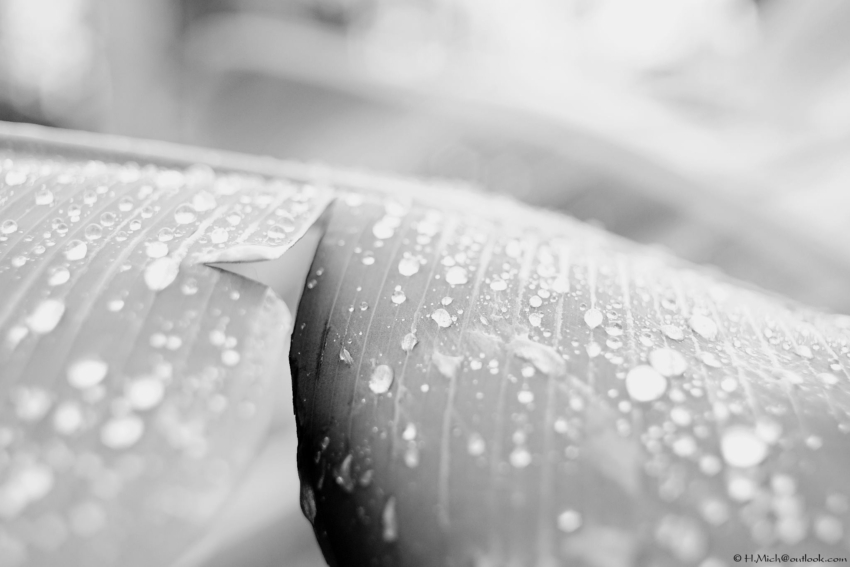 Studio-One.Art.br Repo Fotografia em Rio Preto SP/Brasil