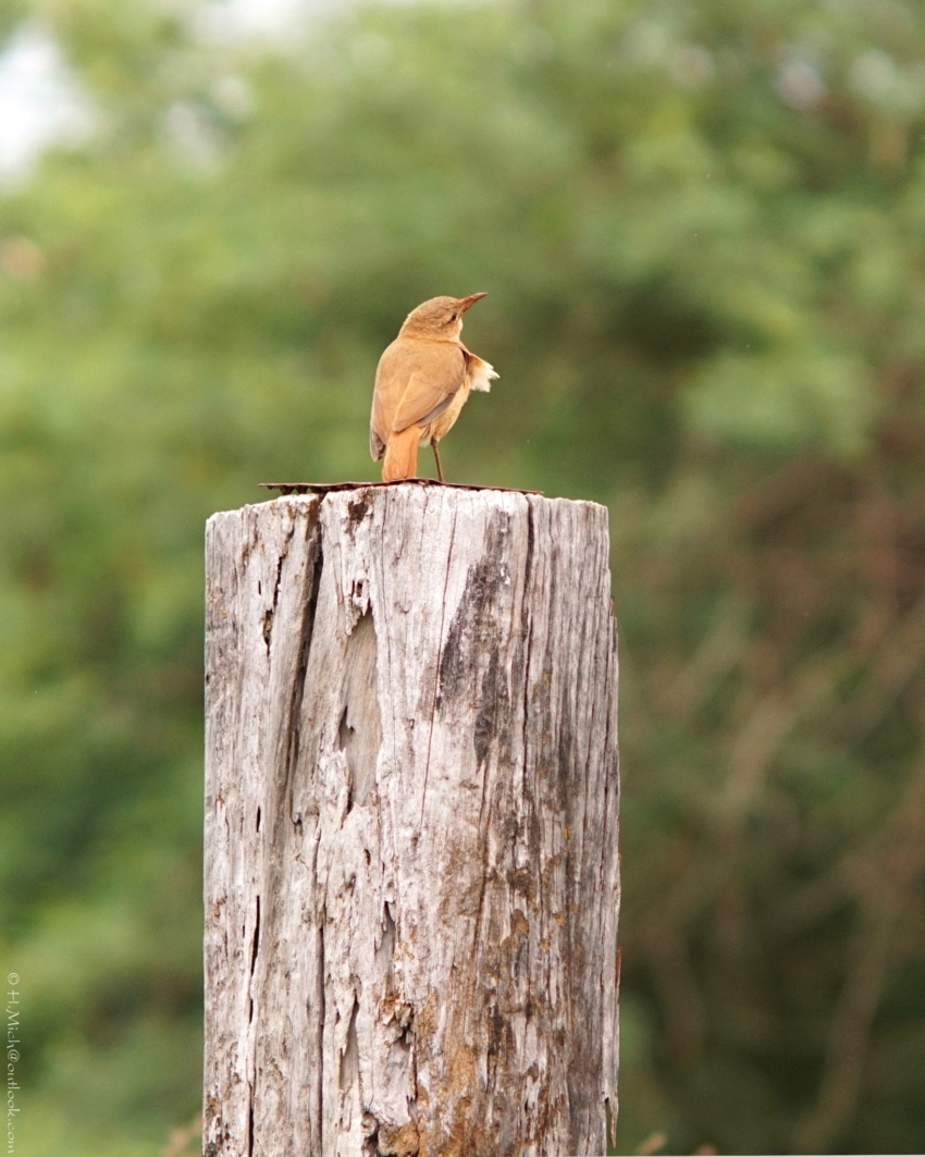 Studio-One.Art.br Repo Fotografia em Rio Preto SP/Brasil