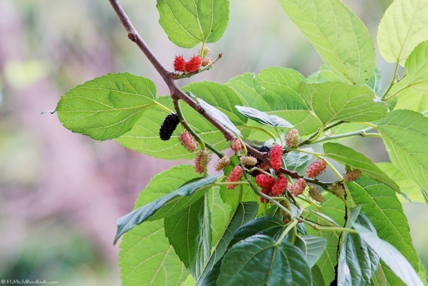 Studio-One.Art.br Repo Fotografia em Rio Preto SP/Brasil