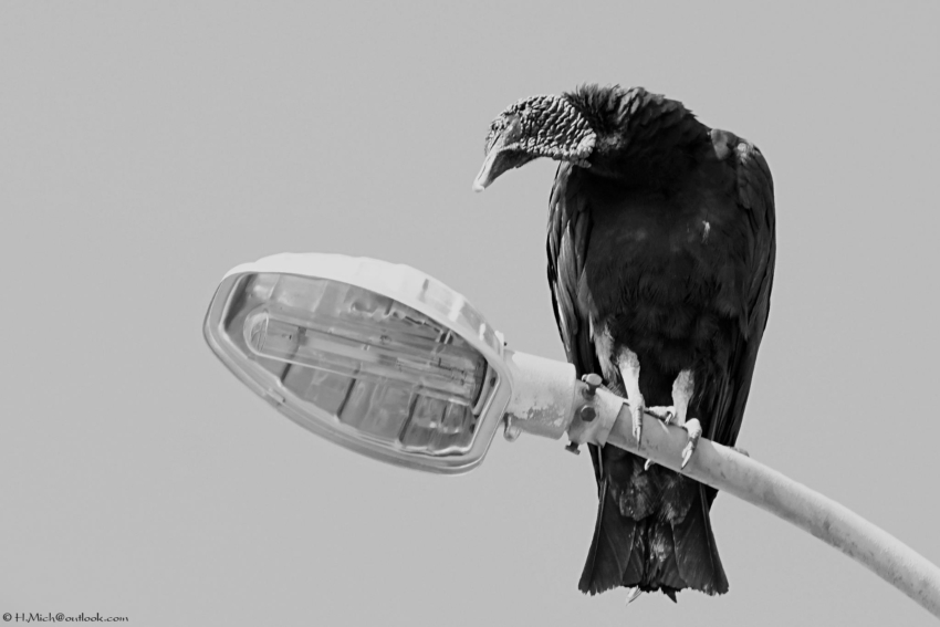 Studio-One.Art.br Repo Fotografia em Rio Preto SP/Brasil