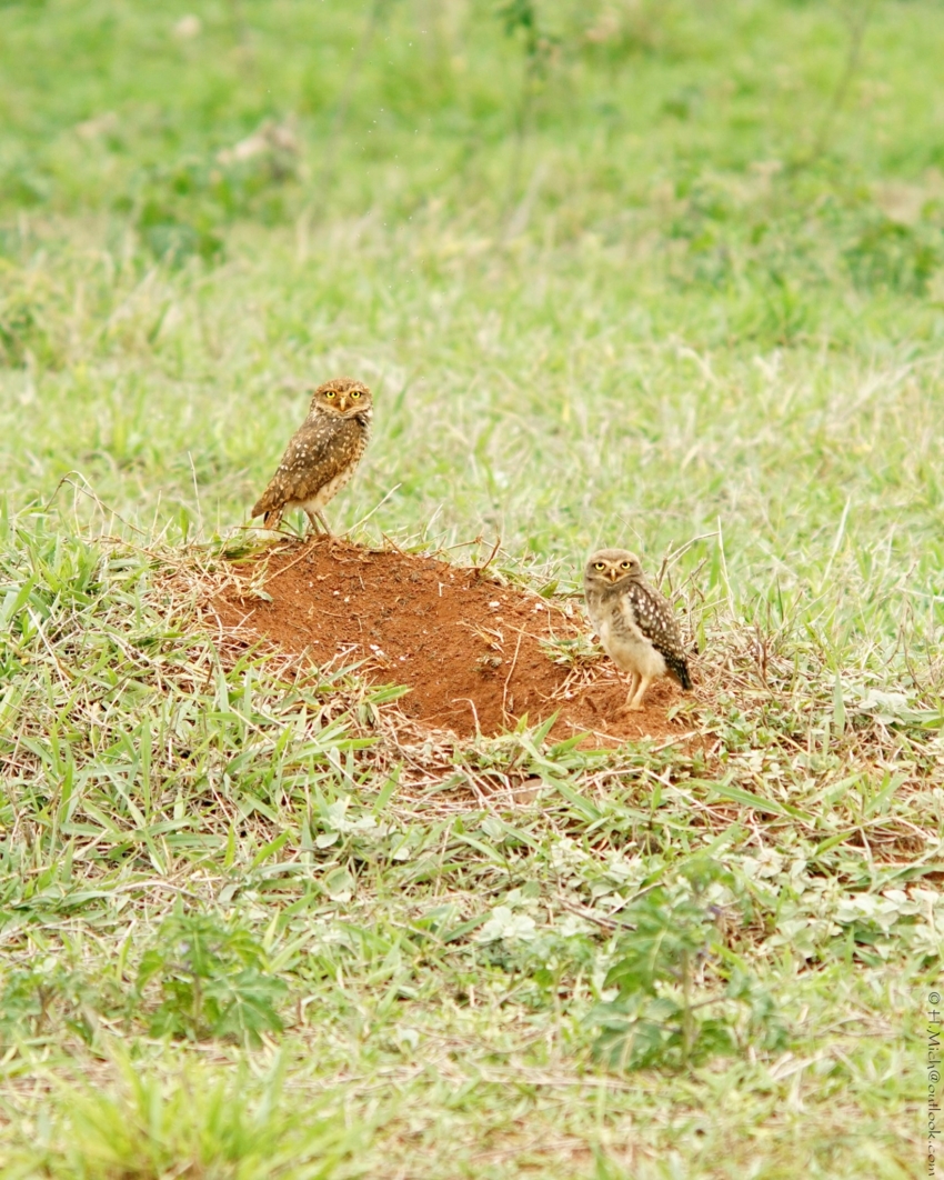 Studio-One.Art.br Repo Fotografia em Rio Preto SP/Brasil