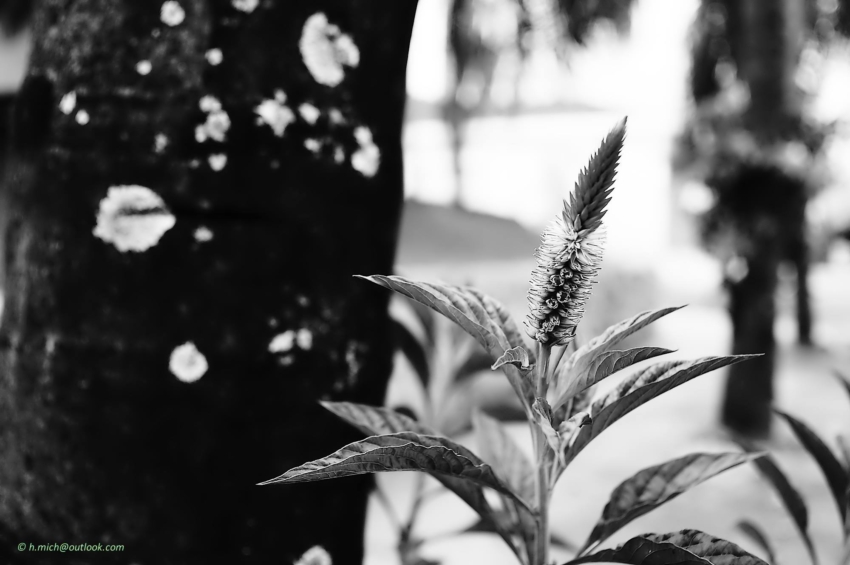 Studio-One.Art.br Repo Fotografia em Rio Preto SP/Brasil