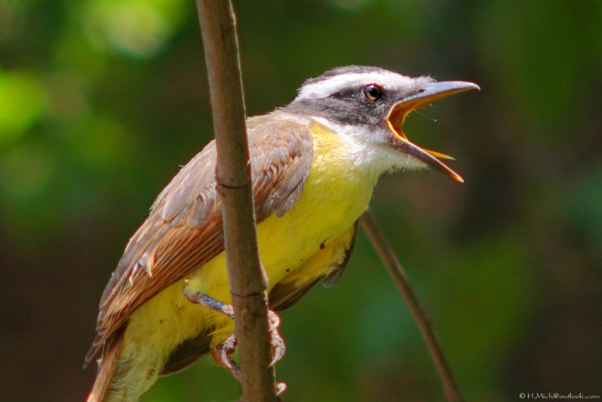 Studio-One.Art.br Repo Fotografia em Rio Preto SP/Brasil