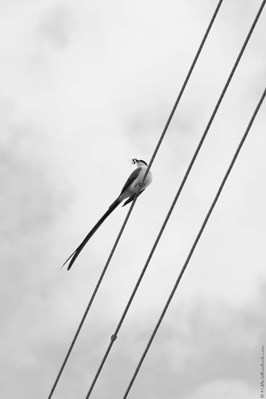 Studio-One.Art.br Repo Fotografia em Rio Preto SP/Brasil