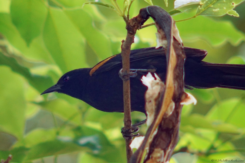 Studio-One.Art.br Repo Fotografia em Rio Preto SP/Brasil