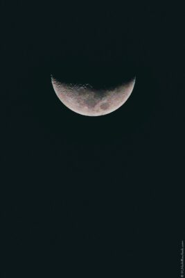2022 06 15(178)