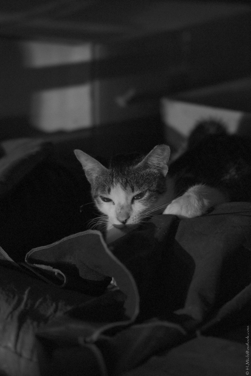 Studio-One.Art.br Repo Fotografia em Rio Preto SP/Brasil