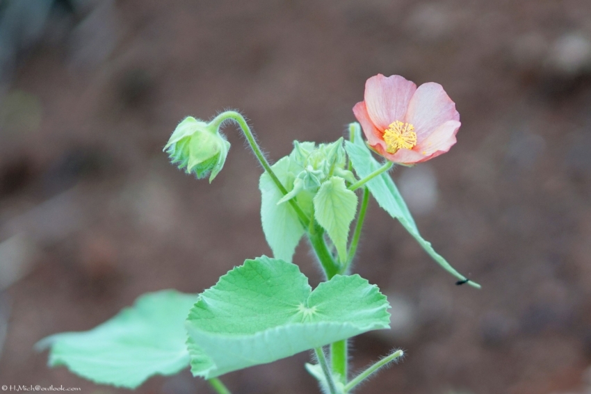 Studio-One.Art.br Repo Fotografia em Rio Preto SP/Brasil
