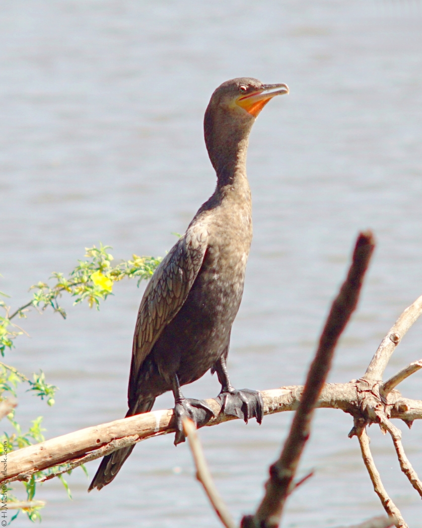 Studio-One.Art.br Repo Fotografia em Rio Preto SP/Brasil