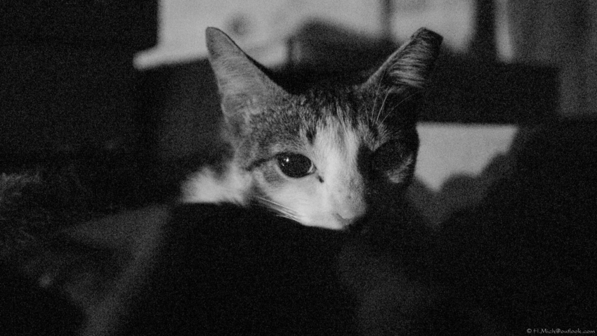 Studio-One.Art.br Repo Fotografia em Rio Preto SP/Brasil