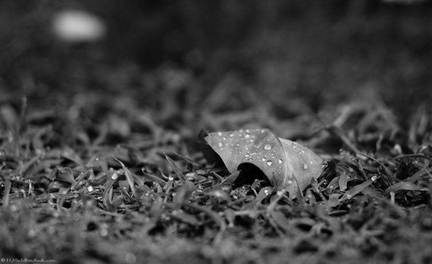 Studio-One.Art.br Repo Fotografia em Rio Preto SP/Brasil