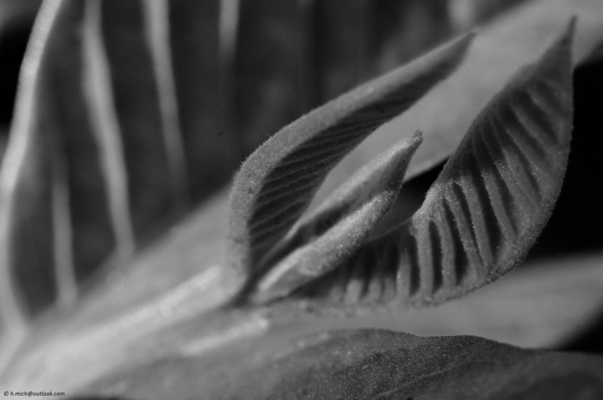 Studio-One.Art.br Repo Fotografia em Rio Preto SP/Brasil