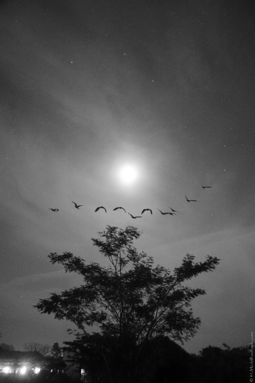 Studio-One.Art.br Repo Fotografia em Rio Preto SP/Brasil