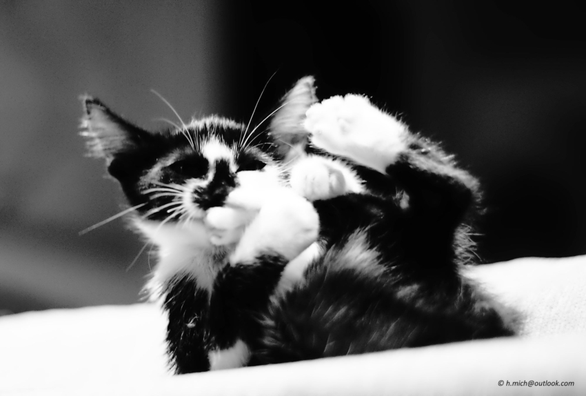 Studio-One.Art.br Repo Fotografia em Rio Preto SP/Brasil