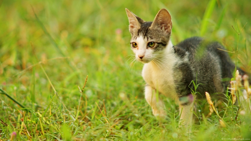 Studio-One.Art.br Repo Fotografia em Rio Preto SP/Brasil