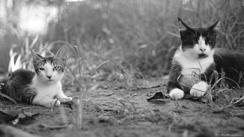 Studio-One.Art.br Repo Fotografia em Rio Preto SP/Brasil