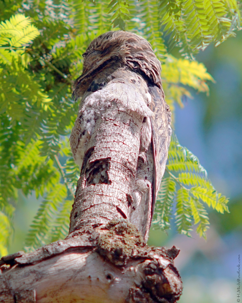 Studio-One.Art.br Repo Fotografia em Rio Preto SP/Brasil