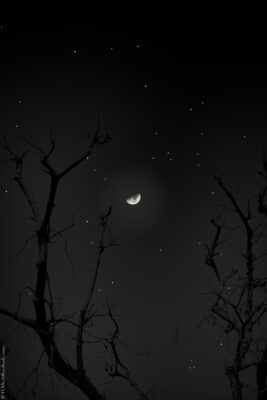 2022 06 15(180)