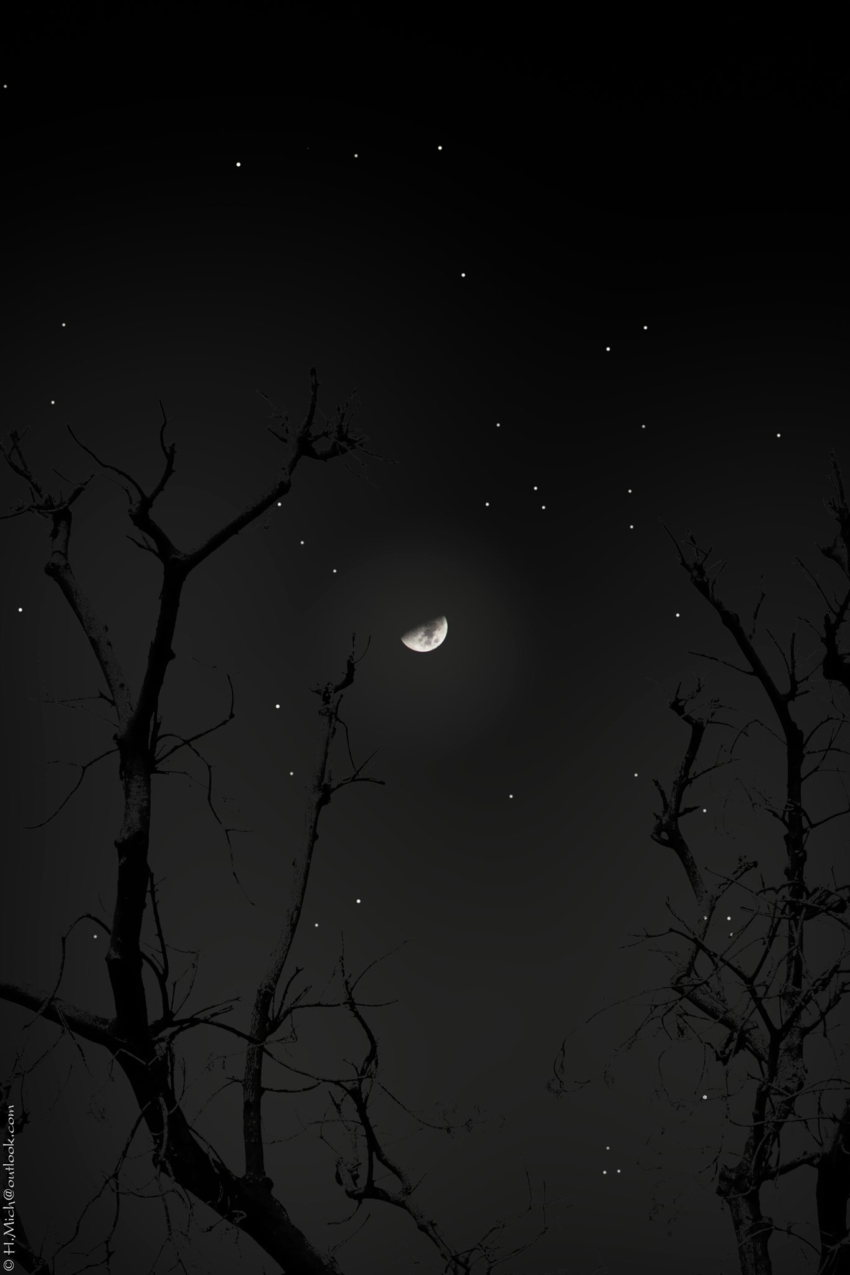 Studio-One.Art.br Repo Fotografia em Rio Preto SP/Brasil