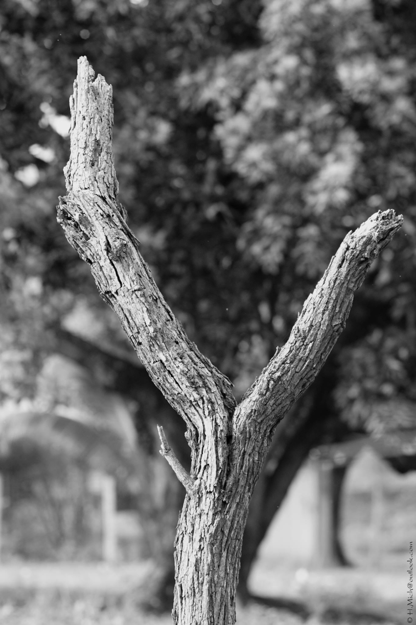 Studio-One.Art.br Repo Fotografia em Rio Preto SP/Brasil