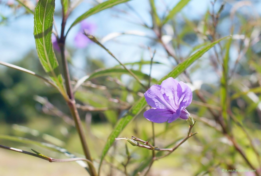 Studio-One.Art.br Repo Fotografia em Rio Preto SP/Brasil