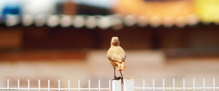 Studio-One.Art.br Repo Fotografia em Rio Preto SP/Brasil