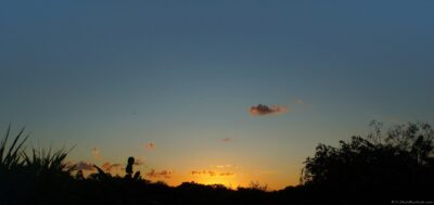2022 06 15(182)