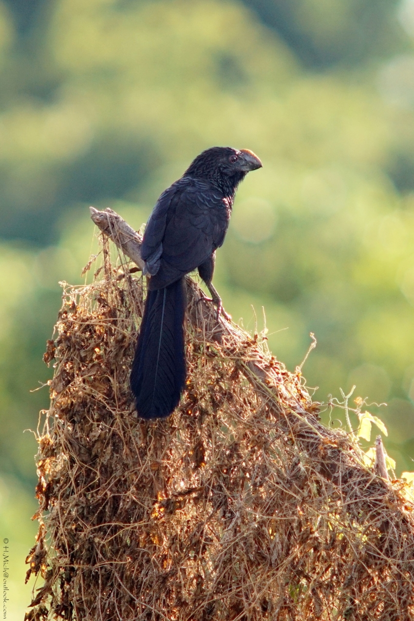 Studio-One.Art.br Repo Fotografia em Rio Preto SP/Brasil