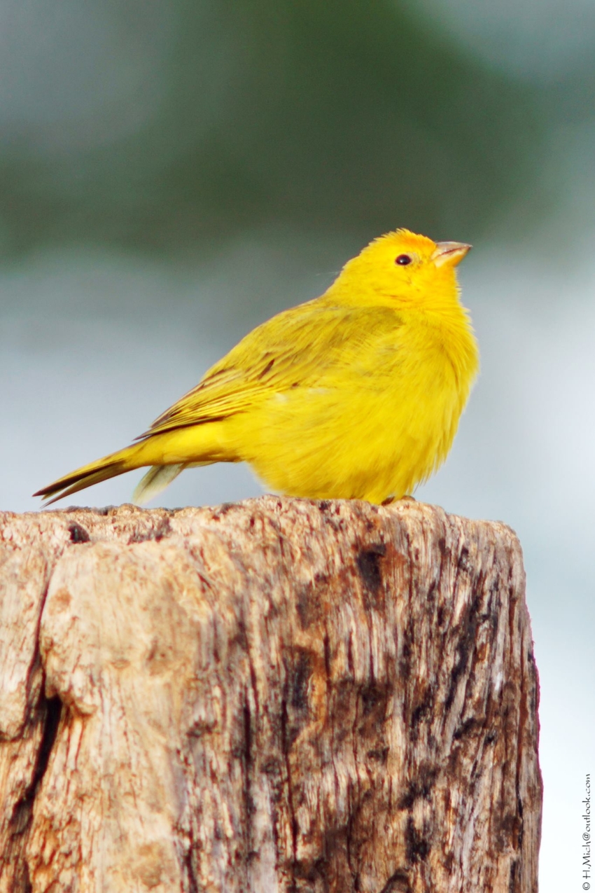 Studio-One.Art.br Repo Fotografia em Rio Preto SP/Brasil