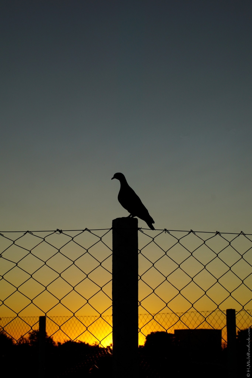 Studio-One.Art.br Repo Fotografia em Rio Preto SP/Brasil