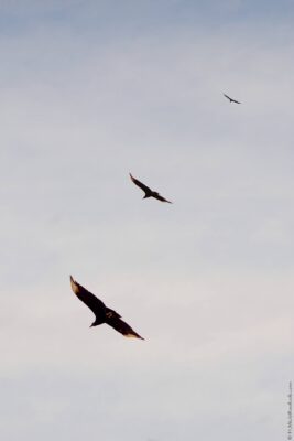 2022 06 15(184)