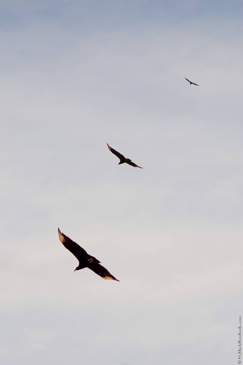 Studio-One.Art.br Repo Fotografia em Rio Preto SP/Brasil