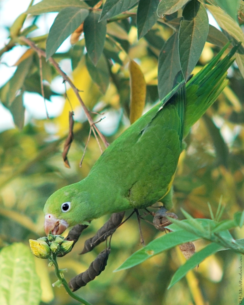 Studio-One.Art.br Repo Fotografia em Rio Preto SP/Brasil
