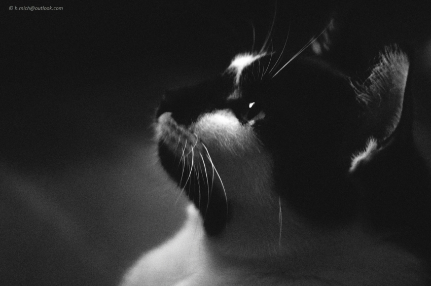 Studio-One.Art.br Repo Fotografia em Rio Preto SP/Brasil