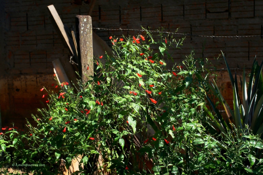 Studio-One.Art.br Repo Fotografia em Rio Preto SP/Brasil