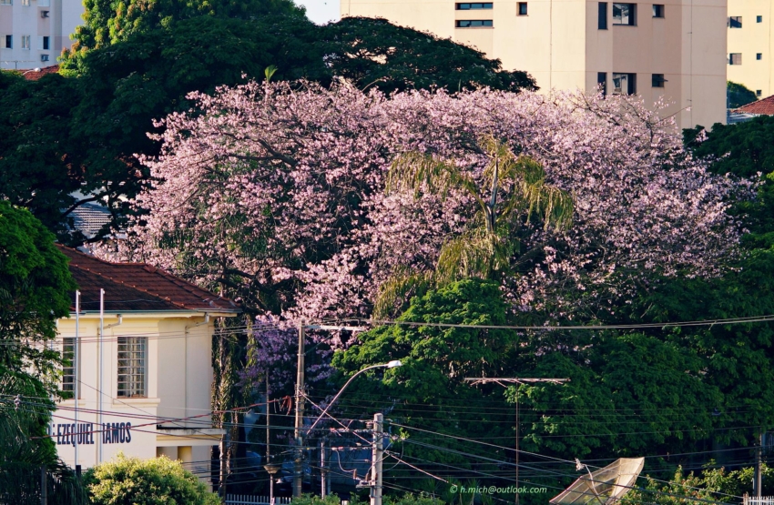 Studio-One.Art.br Repo Fotografia em Rio Preto SP/Brasil