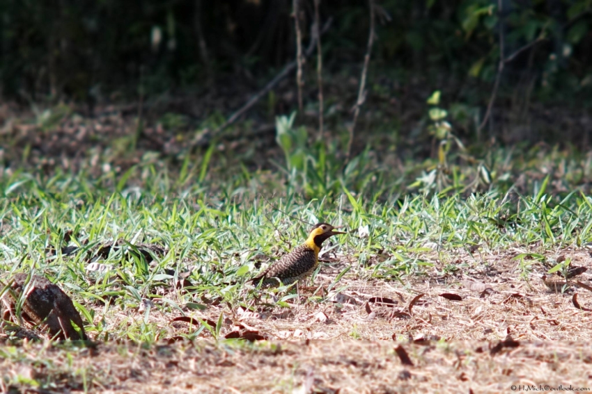 Studio-One.Art.br Repo Fotografia em Rio Preto SP/Brasil