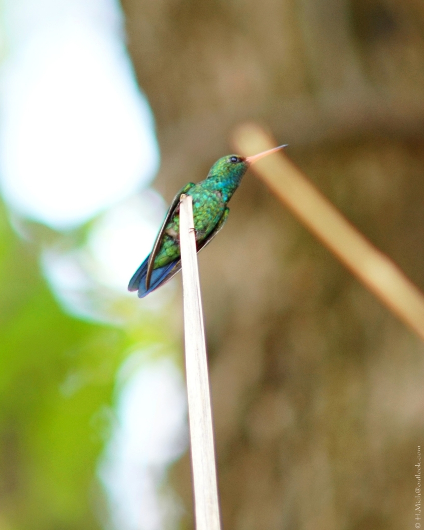 Studio-One.Art.br Repo Fotografia em Rio Preto SP/Brasil