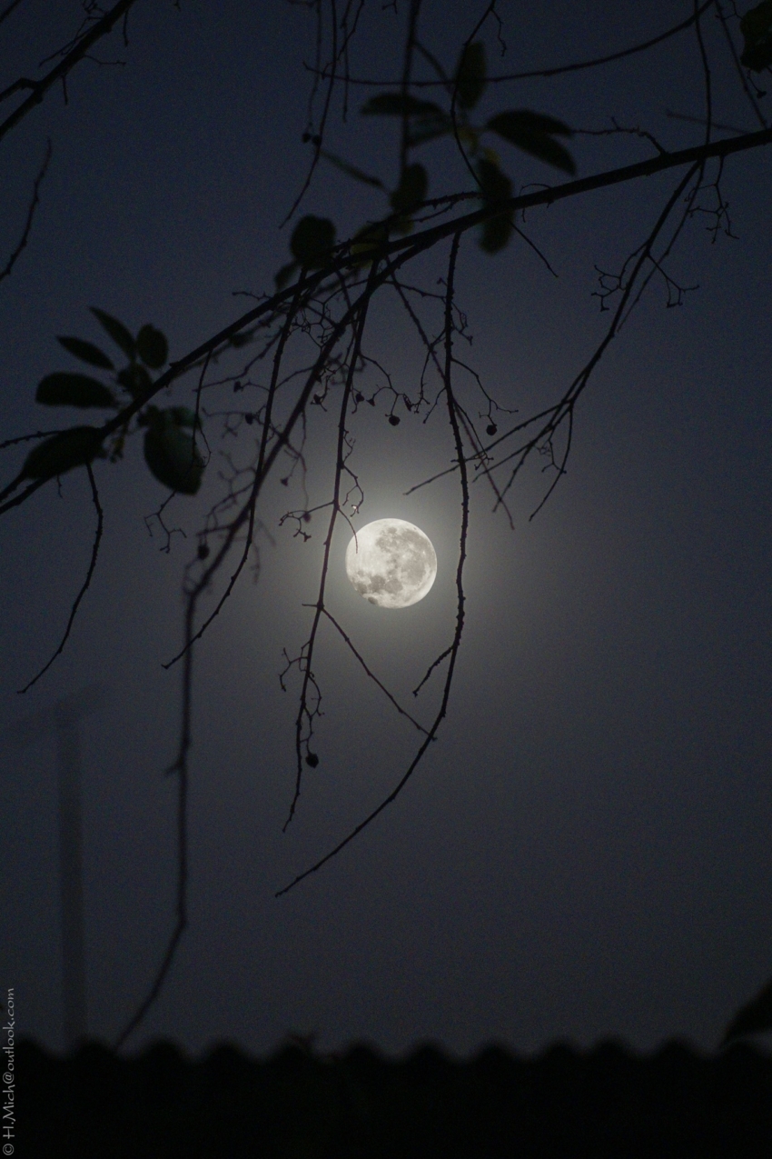 Studio-One.Art.br Repo Fotografia em Rio Preto SP/Brasil