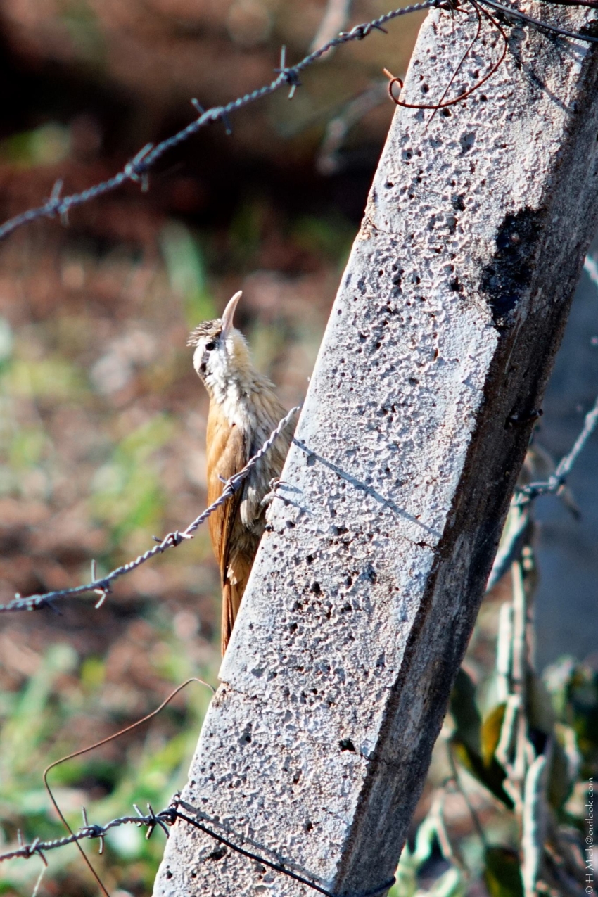 Studio-One.Art.br Repo Fotografia em Rio Preto SP/Brasil