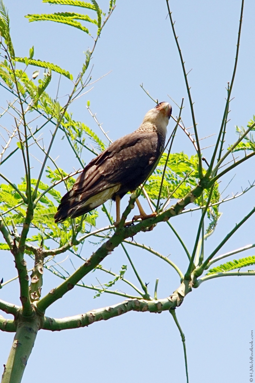 Studio-One.Art.br Repo Fotografia em Rio Preto SP/Brasil