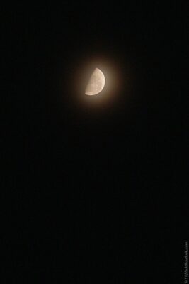 2022 06 15(187)